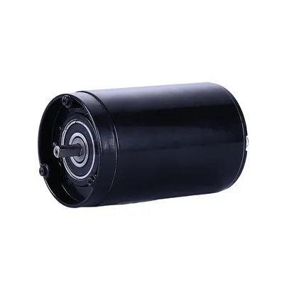 Motor vodene pumpe 12V DC